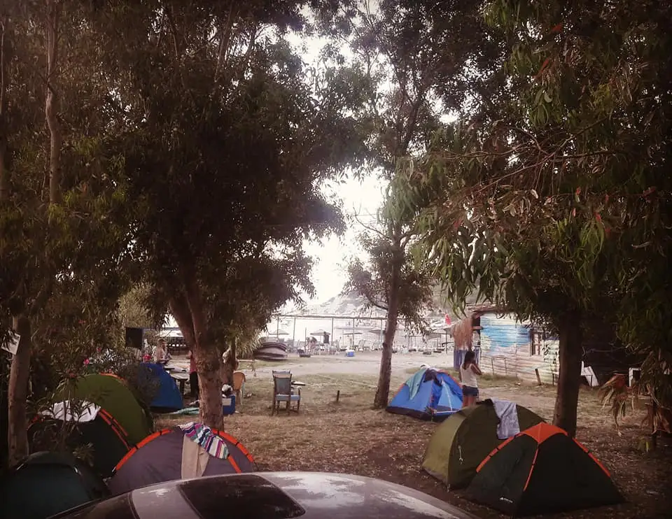 Sazlıca Camping Fotoğrafı