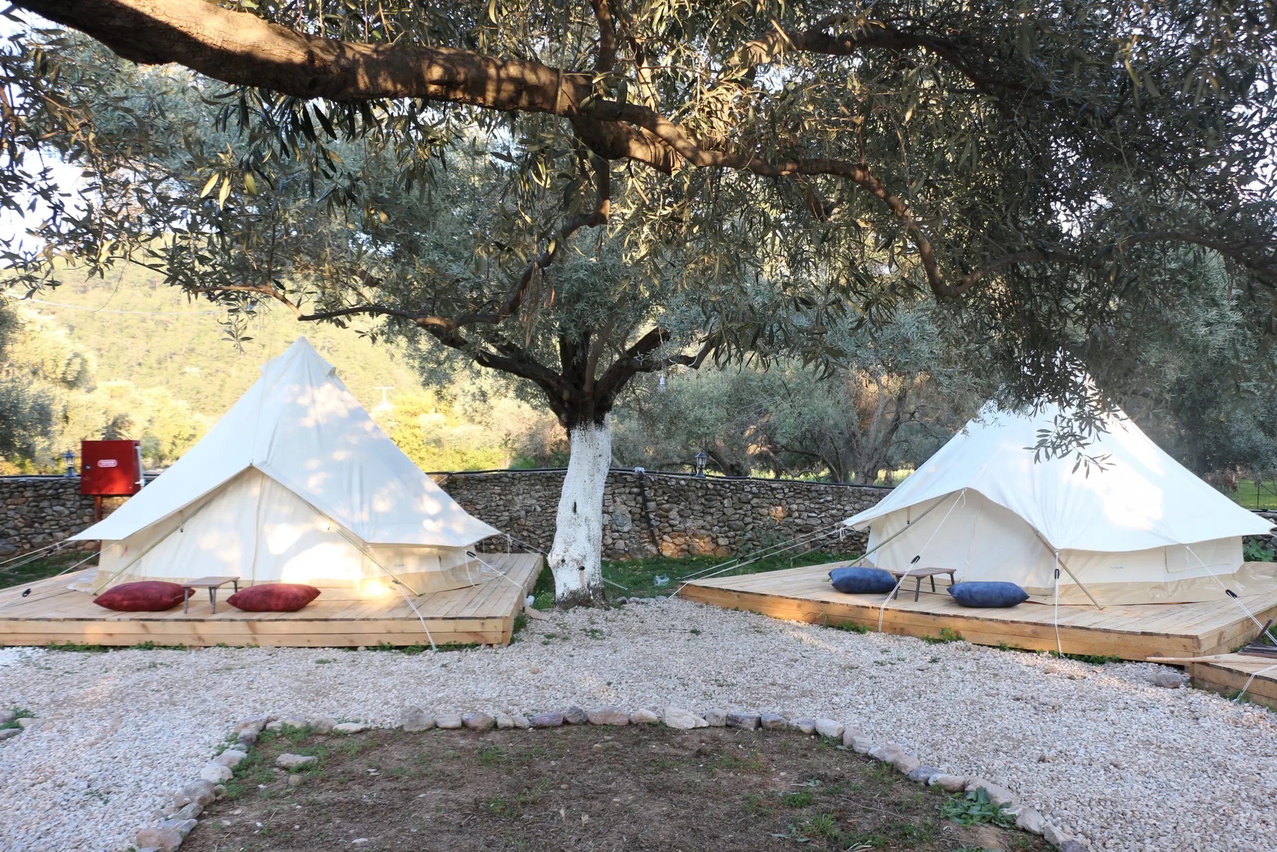 Ruina Glamping - Görsel 1