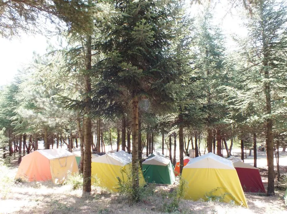 Karagöl Orman Kampı Fotoğrafı