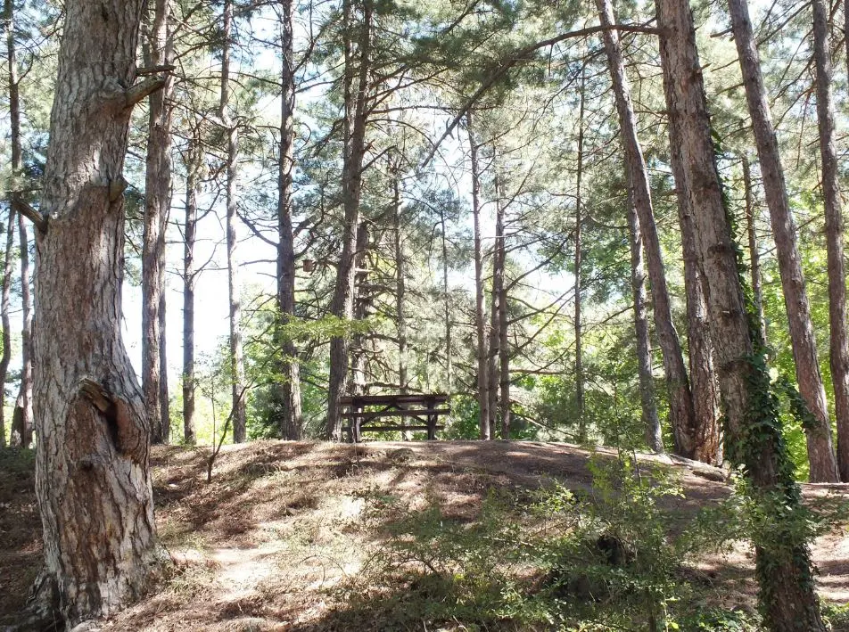 Karagöl Orman Kampı Fotoğrafı