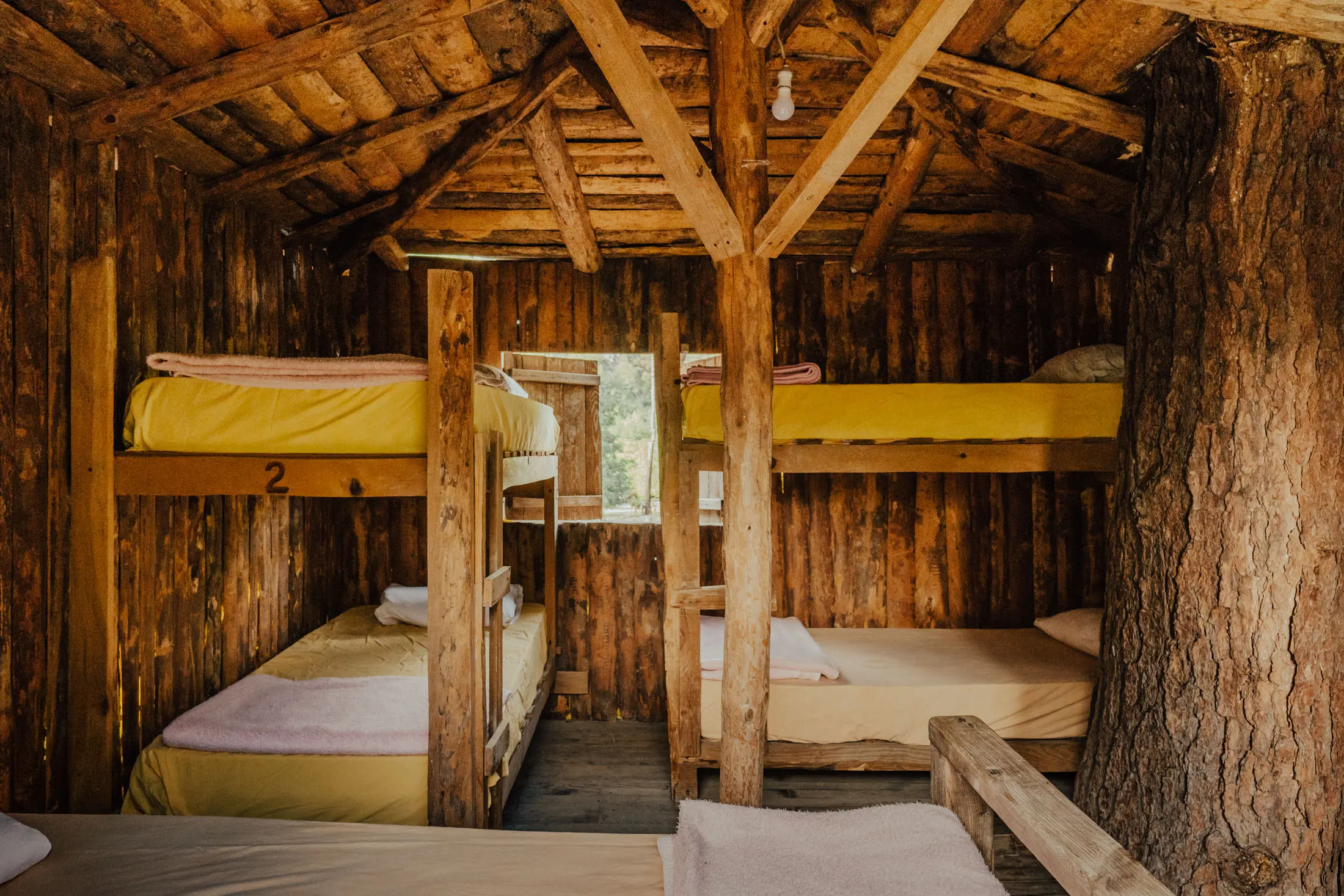 Kadirin Ağaç Evleri Fotoğrafı