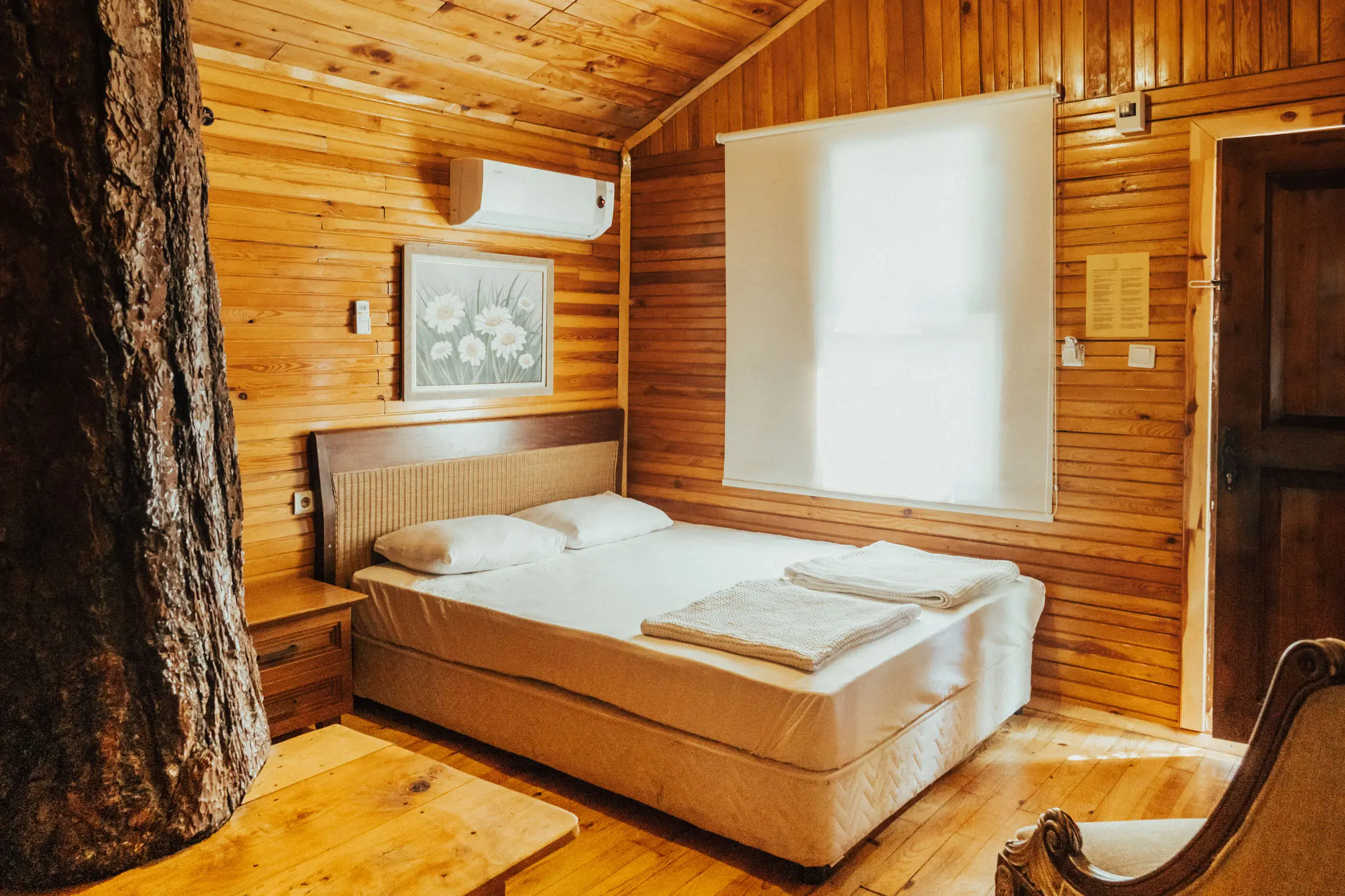 Kadirin Ağaç Evleri Fotoğrafı