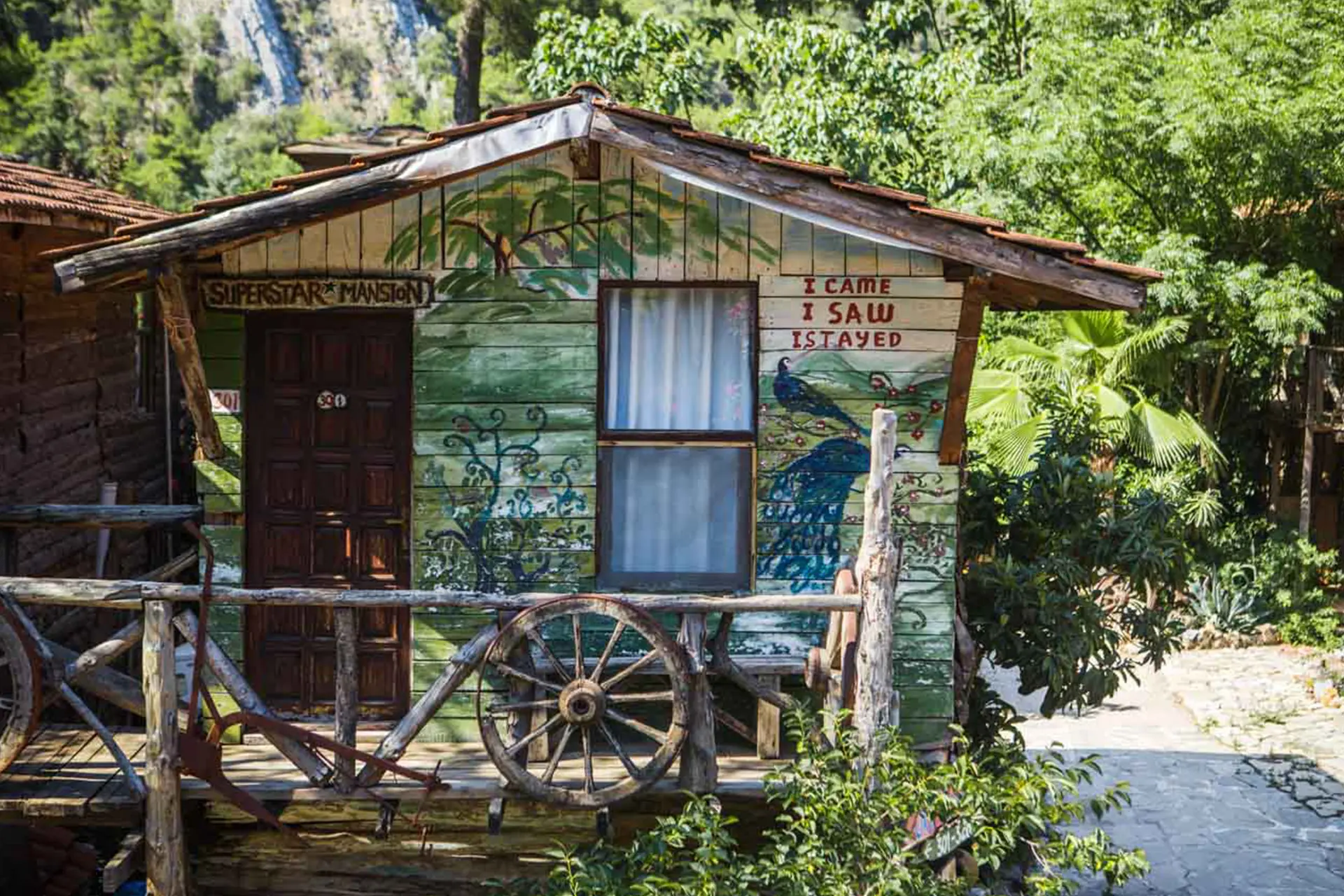 Kadirin Ağaç Evleri Fotoğrafı