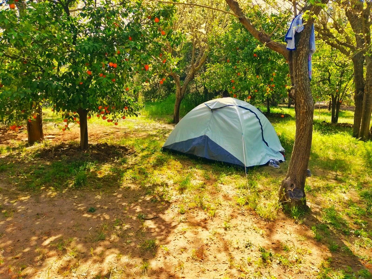 Bahçede kurulu beyaz kamp çadırı