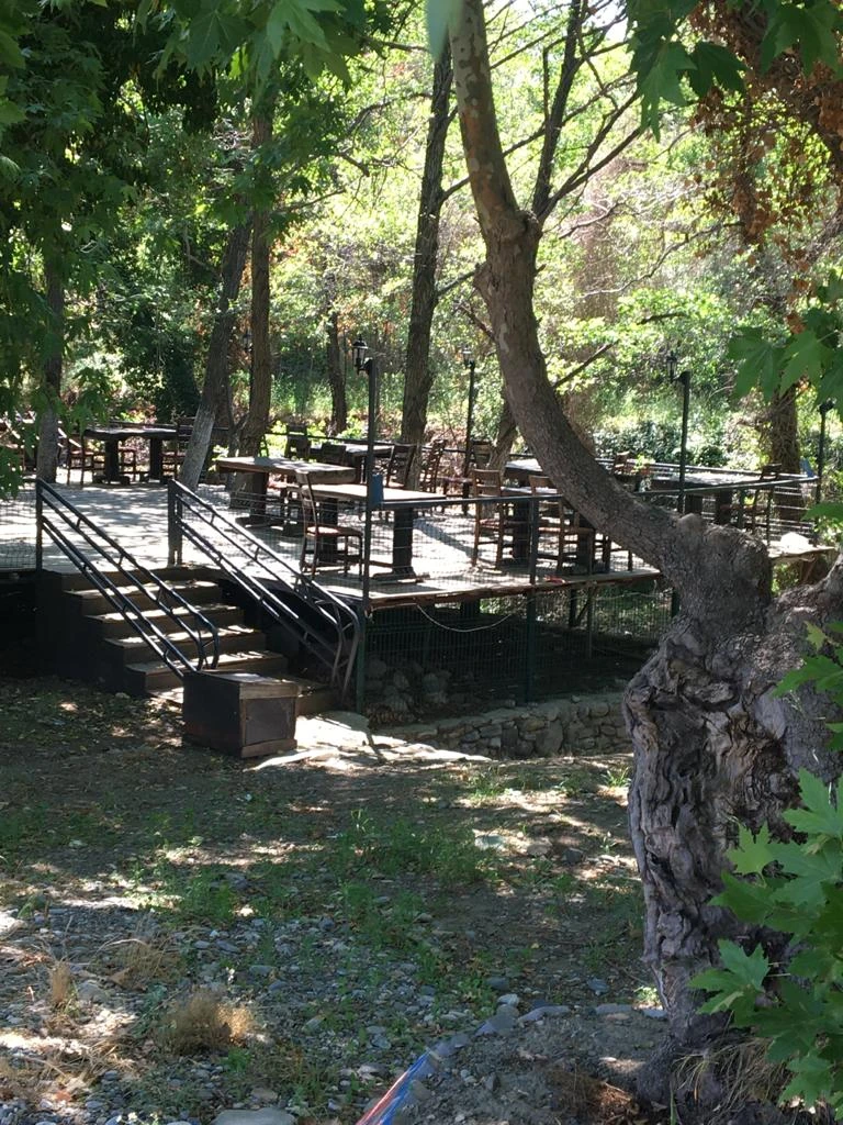 KAZDAĞI KAMP Fotoğrafı