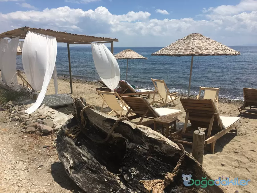 Kozluyalı Glamping Fotoğrafı