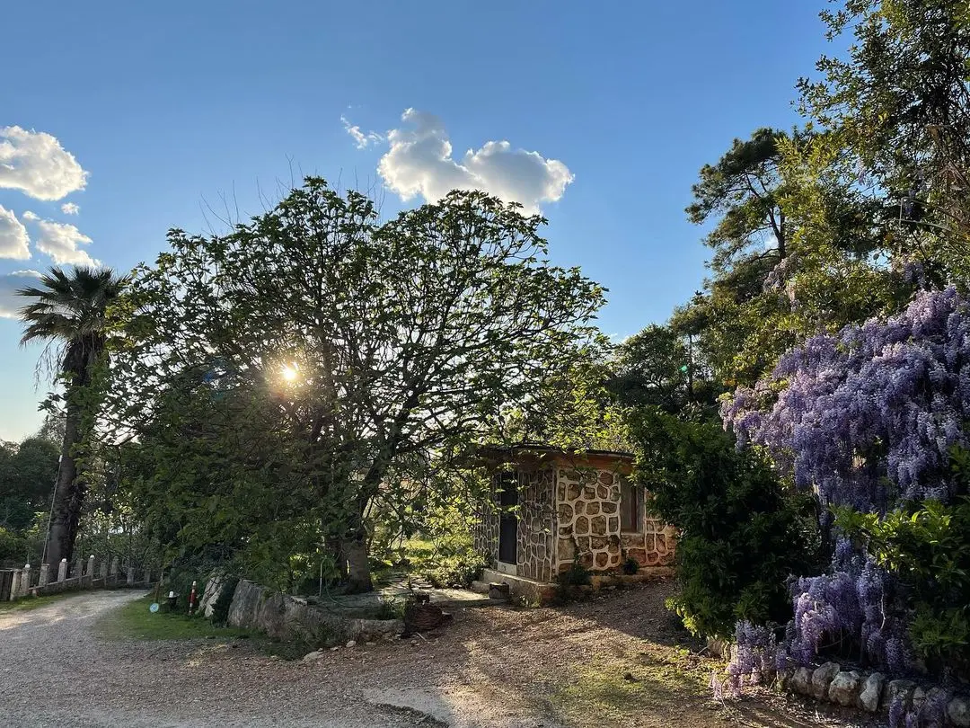 Bonjuk Bay Glamping Fotoğrafı