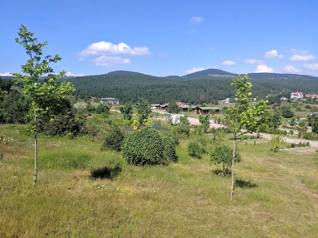 Niksar Camping Fotoğrafı