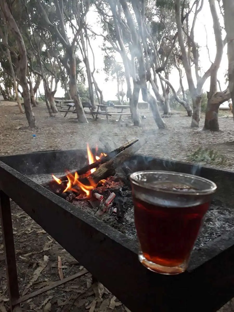 Magarsus Camping Fotoğrafı