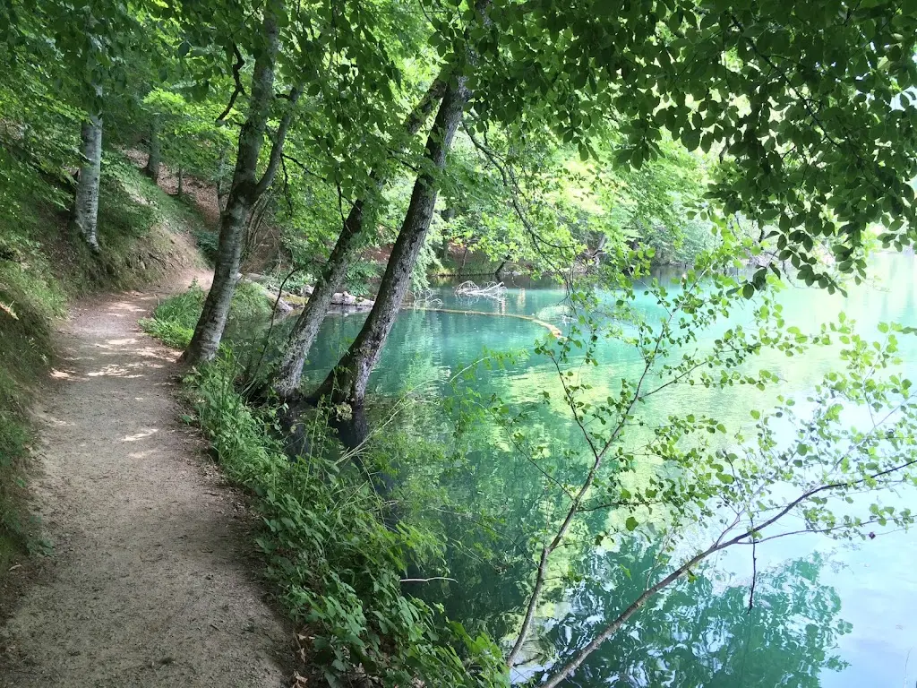 Yedigöller Kamp Alanı Fotoğrafı