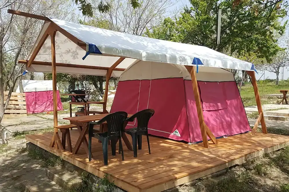 Dama Kamp Fotoğrafı