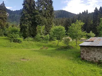 Livera Camping Fotoğrafı