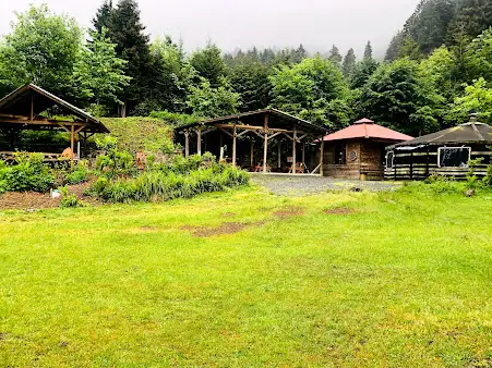 Livera Camping Fotoğrafı