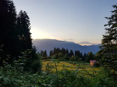 Livera Camping Fotoğrafı