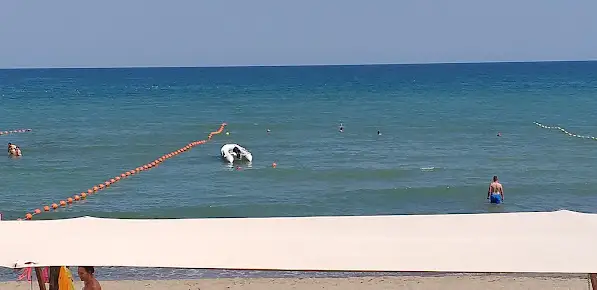 Martı Kamping Fotoğrafı