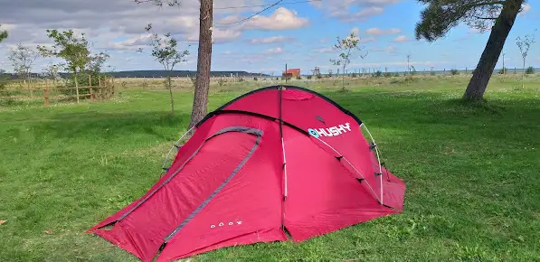 Martı Kamping Fotoğrafı