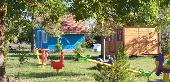 Martı Kamping Fotoğrafı