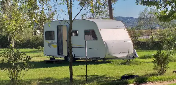 Martı Kamping Fotoğrafı