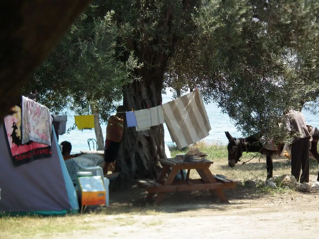 Deniz Camp Fotoğrafı