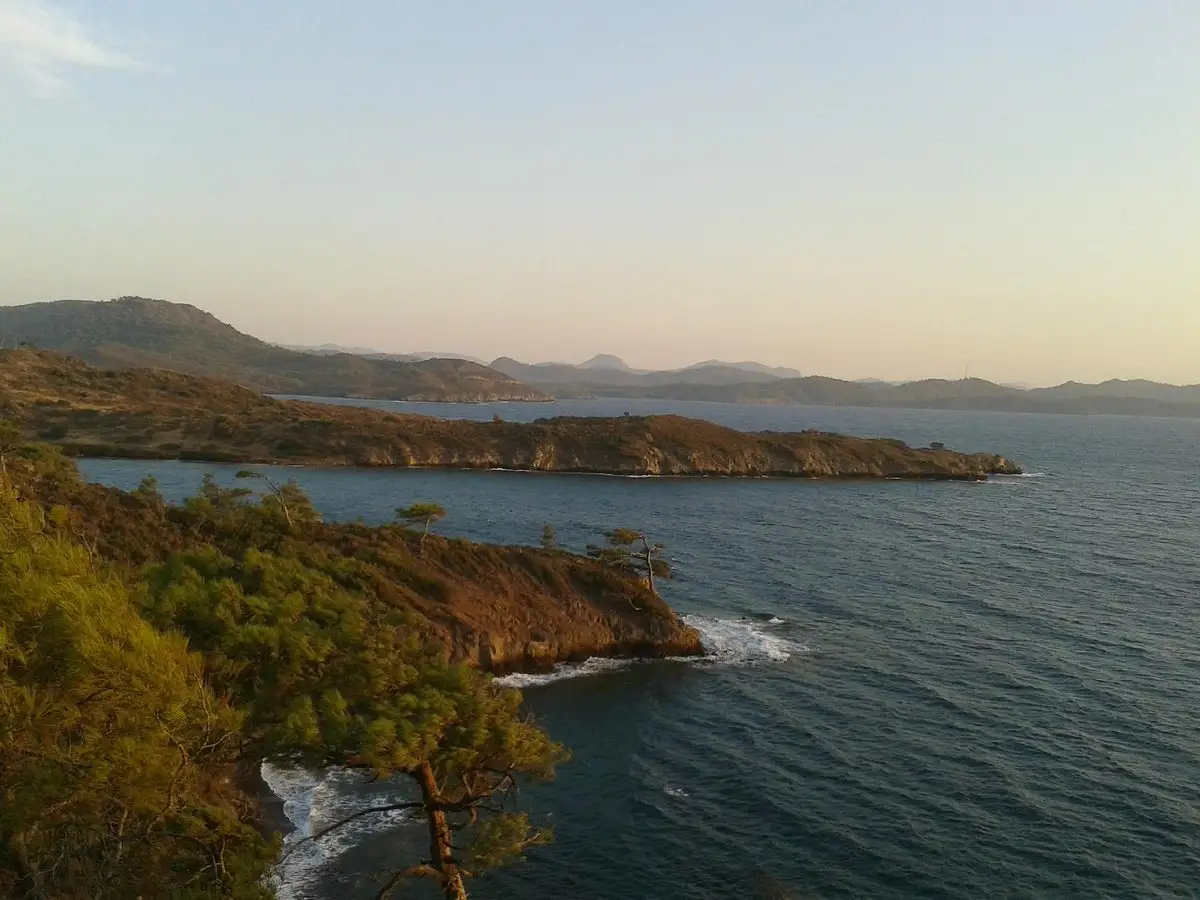 Club Amazon Bördübet Fotoğrafı