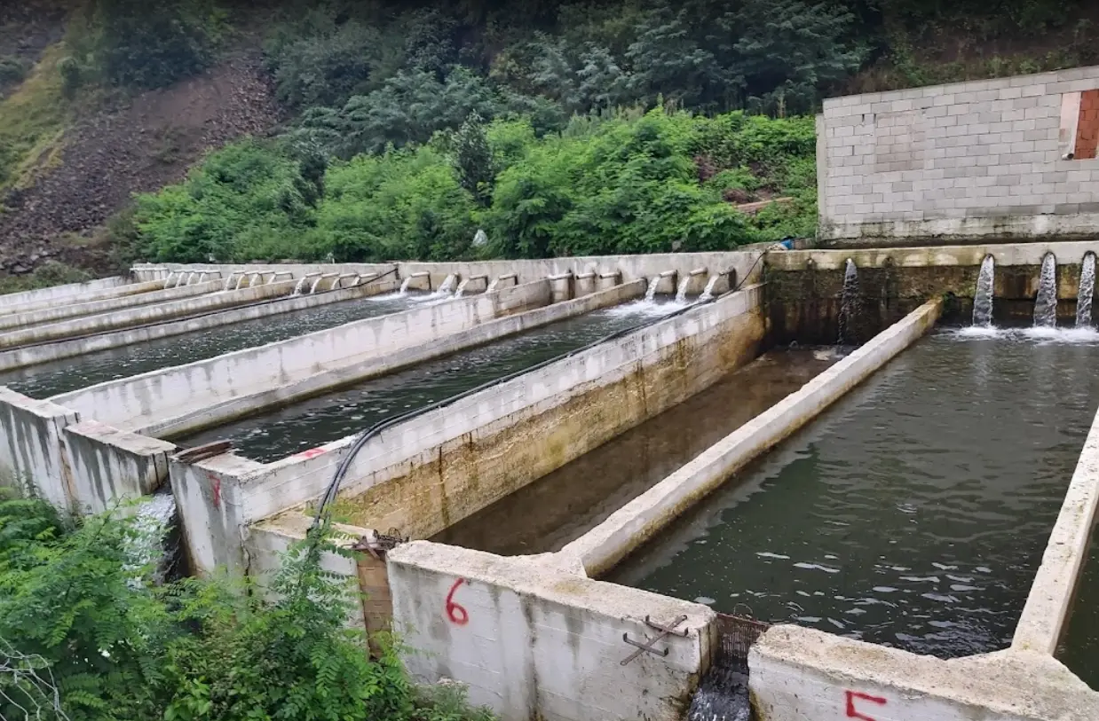 Sumelas Camping Fotoğrafı