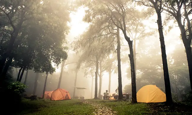 Güzelyalı Çamlık Park Fotoğrafı