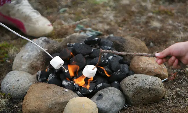 Güzelyalı Çamlık Park Fotoğrafı