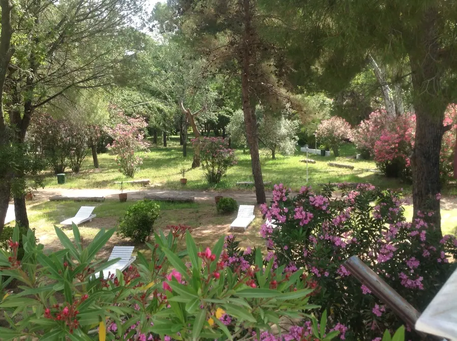 Altın Camp bahçe görseli