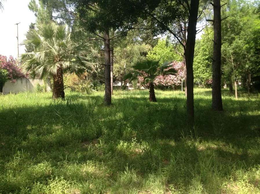 Altın Camp bahçe görseli