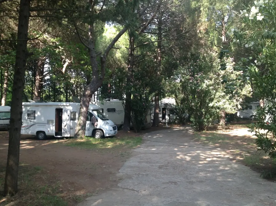 Altın Camp konaklama alanı görseli