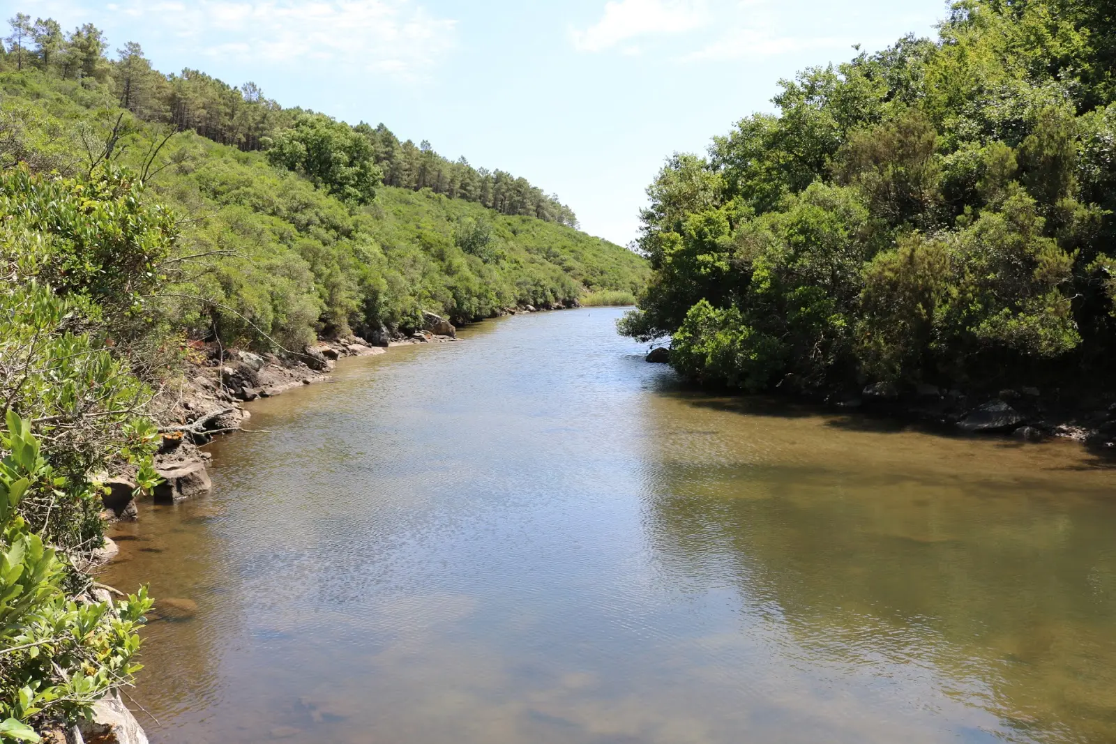 Sorgun Göleti Fotoğrafı
