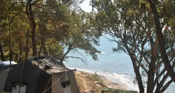 Talat Göktepe Orman Kampı Fotoğrafı