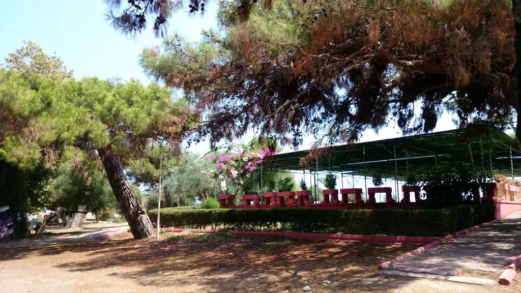 Talat Göktepe Orman Kampı Fotoğrafı