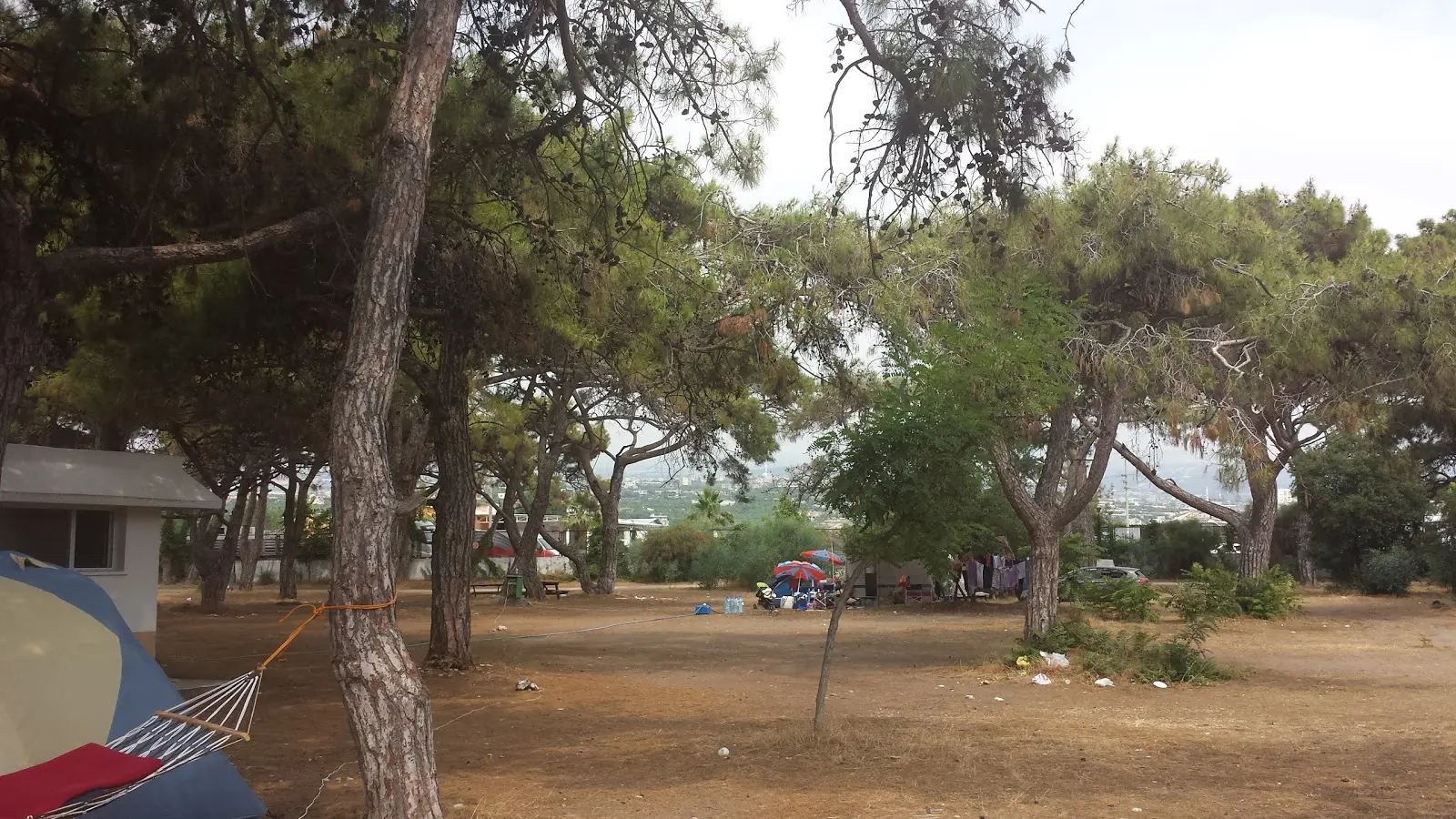 Talat Göktepe Orman Kampı Fotoğrafı