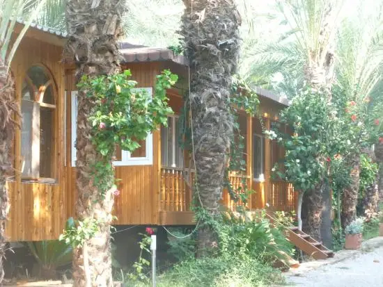 Paradise Kamping Fotoğrafı