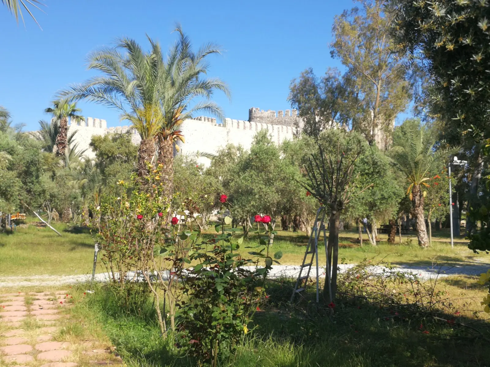 Paradise Kamping Fotoğrafı