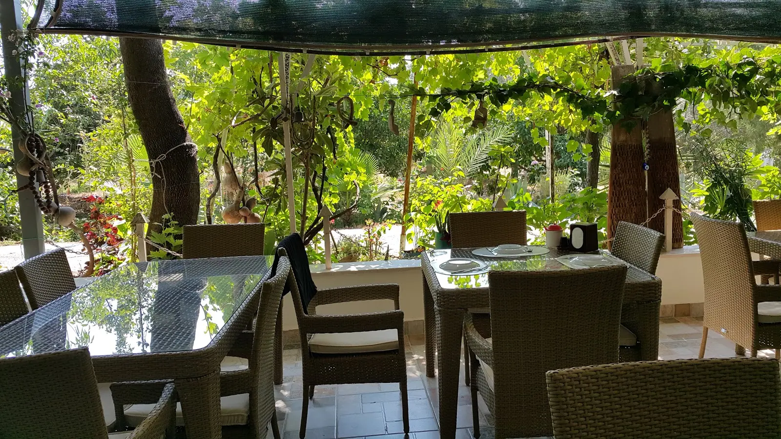 Dragon Kamping Fotoğrafı