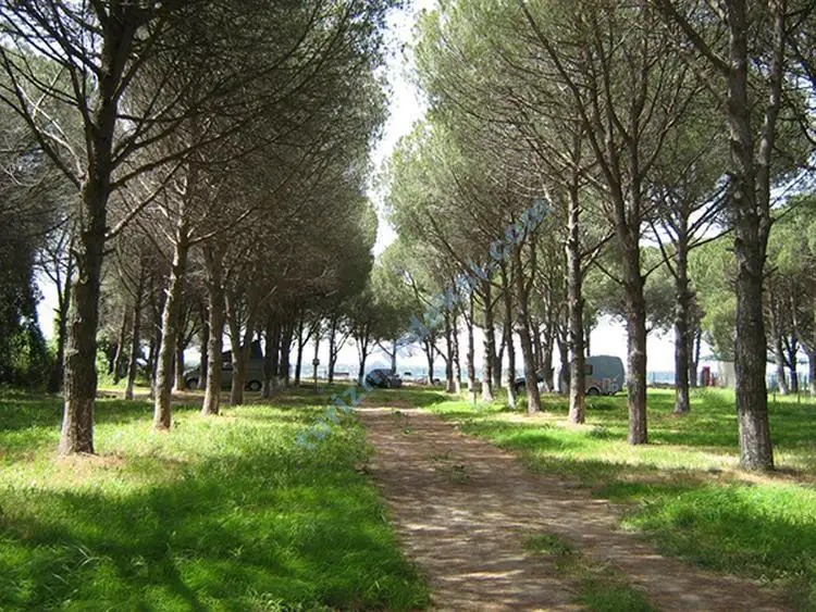 Ant Camping Fotoğrafı