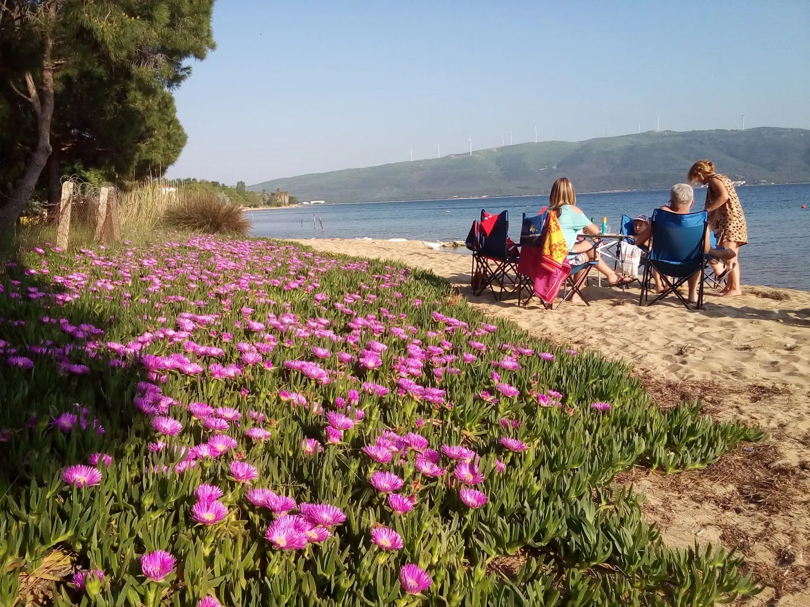 Ant Camping Fotoğrafı