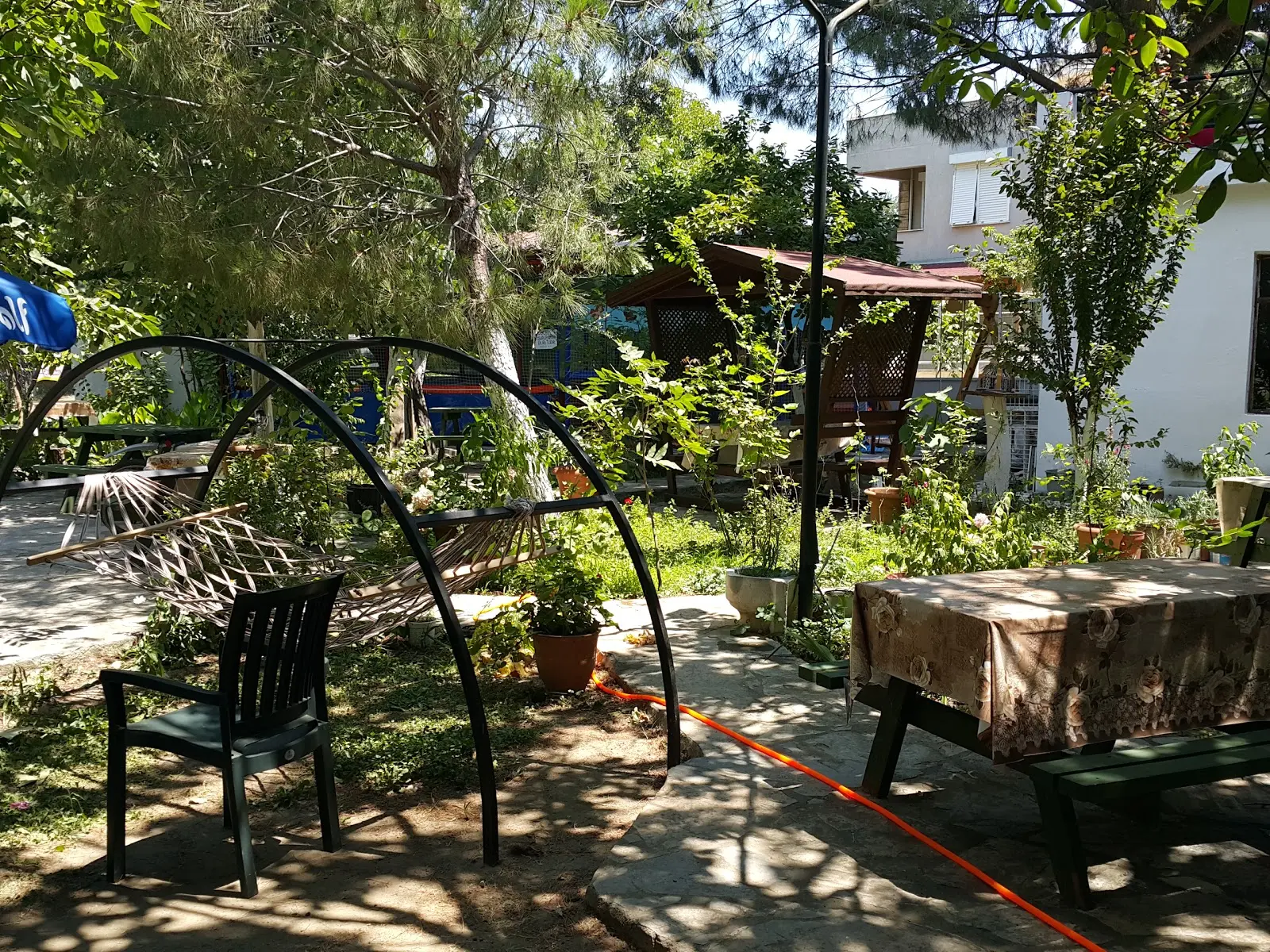 Endemik camping Fotoğrafı