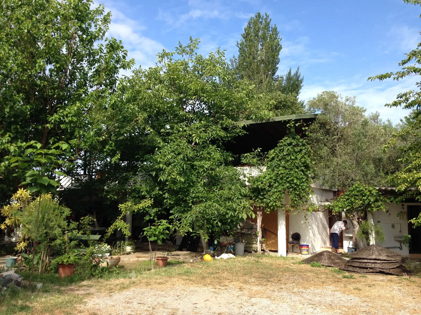 Endemik camping Fotoğrafı