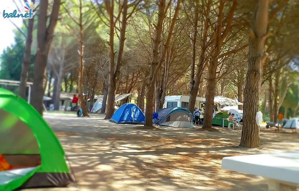 Camping Kapıdağ Fotoğrafı