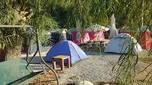 Çınar Camping Fotoğrafı
