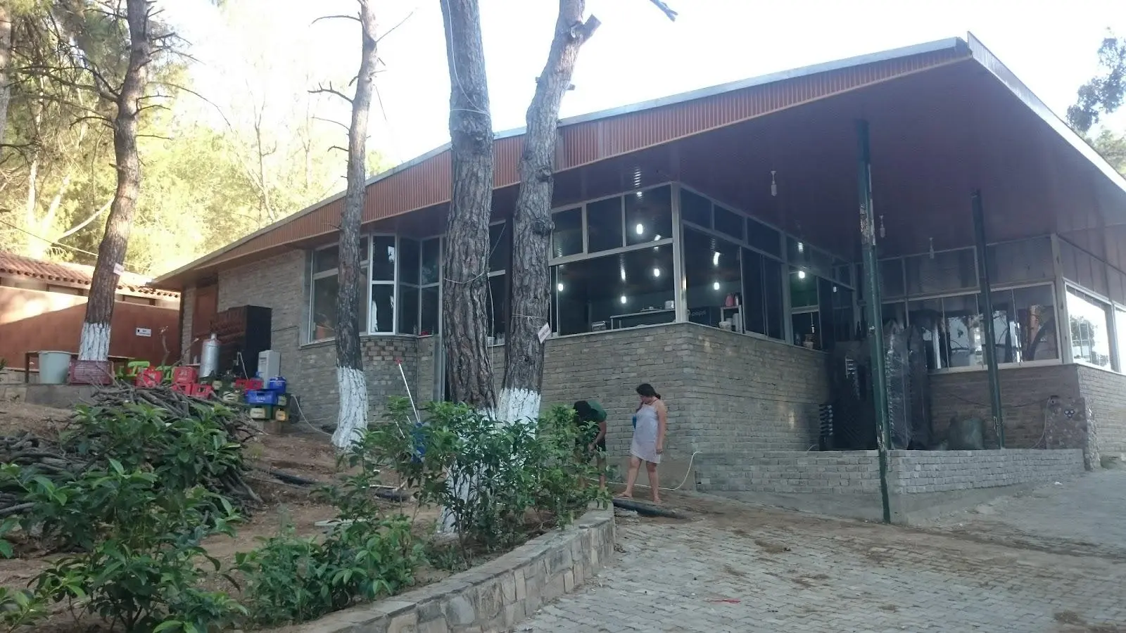 Kalemlik Orman Kampı Fotoğrafı