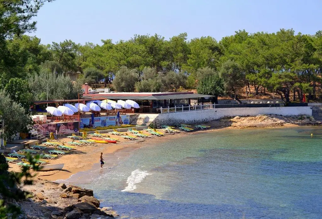 Kalemlik Orman Kampı Fotoğrafı