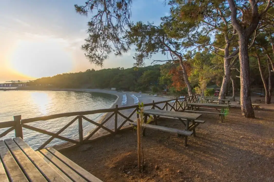 İncekum Orman Kampı Fotoğrafı