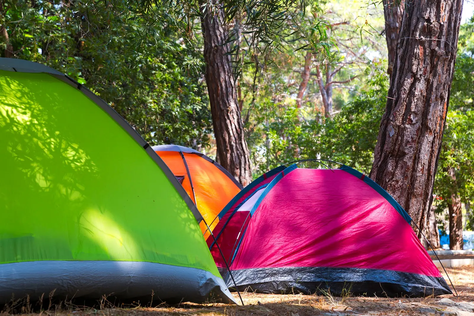 İncekum Orman Kampı Fotoğrafı