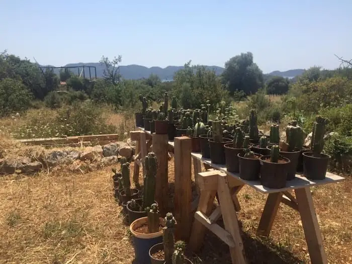 Kekova Camping Fotoğrafı
