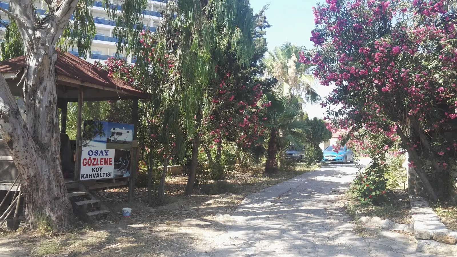 Osay Kamping Fotoğrafı