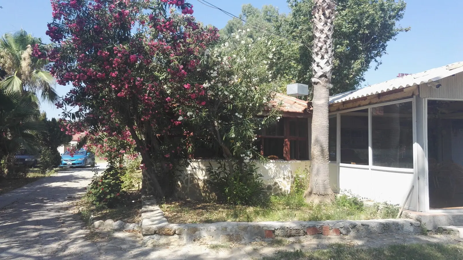 Osay Kamping Fotoğrafı